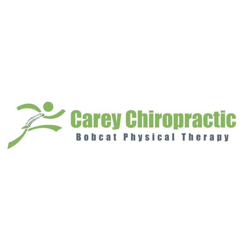 Carey Chiropractic Bobcat Physical Therapy
