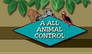 A All Animal Control of Kansas City Kansas