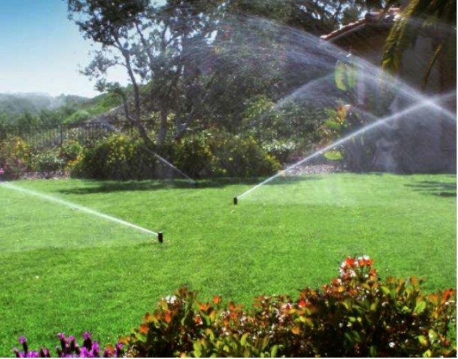 Verified Outdoor Services