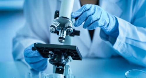 Lindsley F. Kimball Research Institute of New York Blood Center Enterprises - Upper East