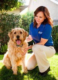 Invisible Fence® Brand by Boundaries For Pets