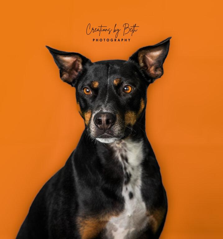 Creations By Beth Photography