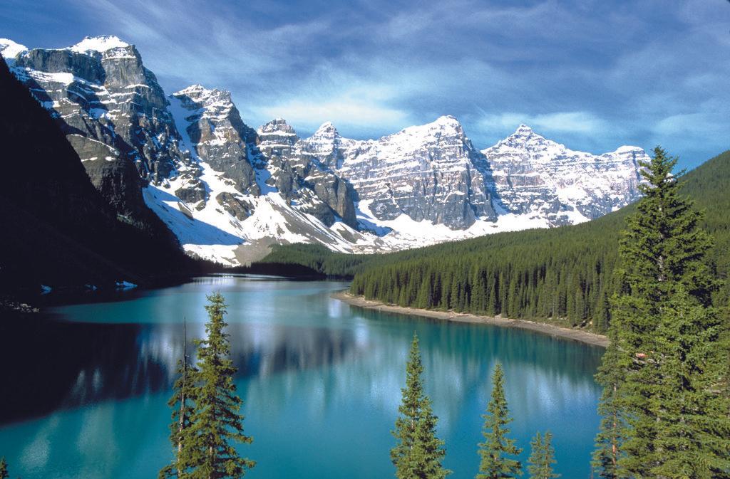 Carla Mirabella & Associates-Cruise Planners