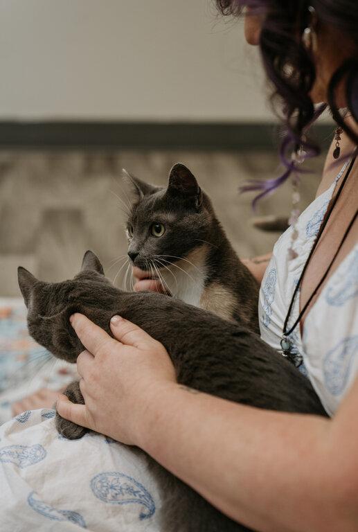 Awakened Soul Sisters