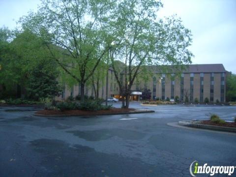 American Chimney & Gutter