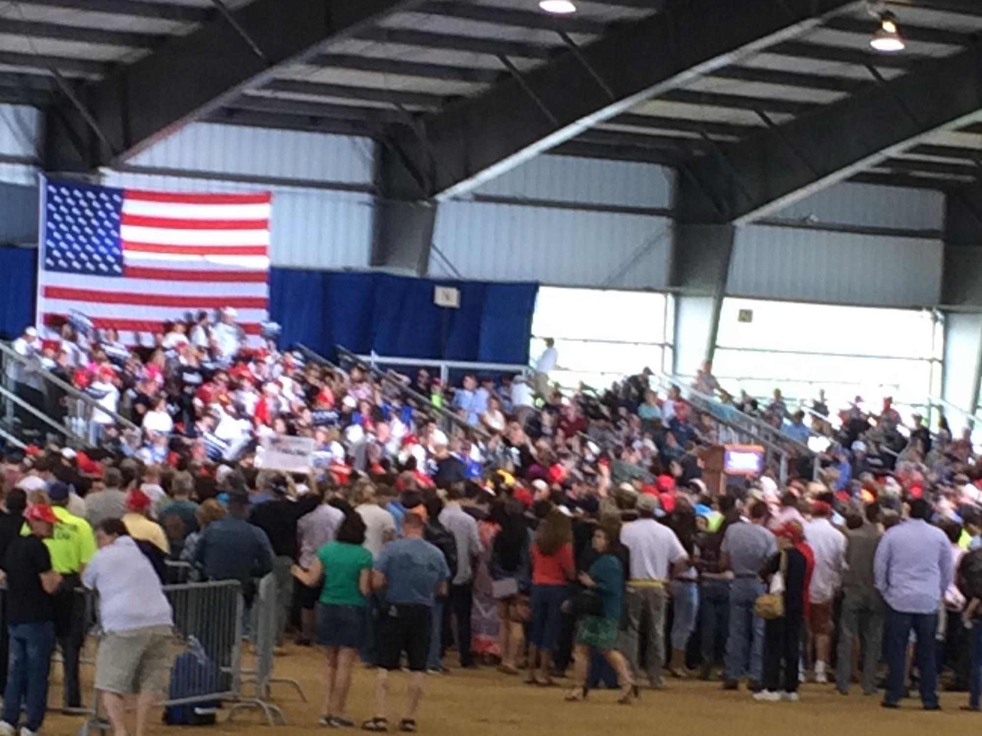 Photo by daisyferret1