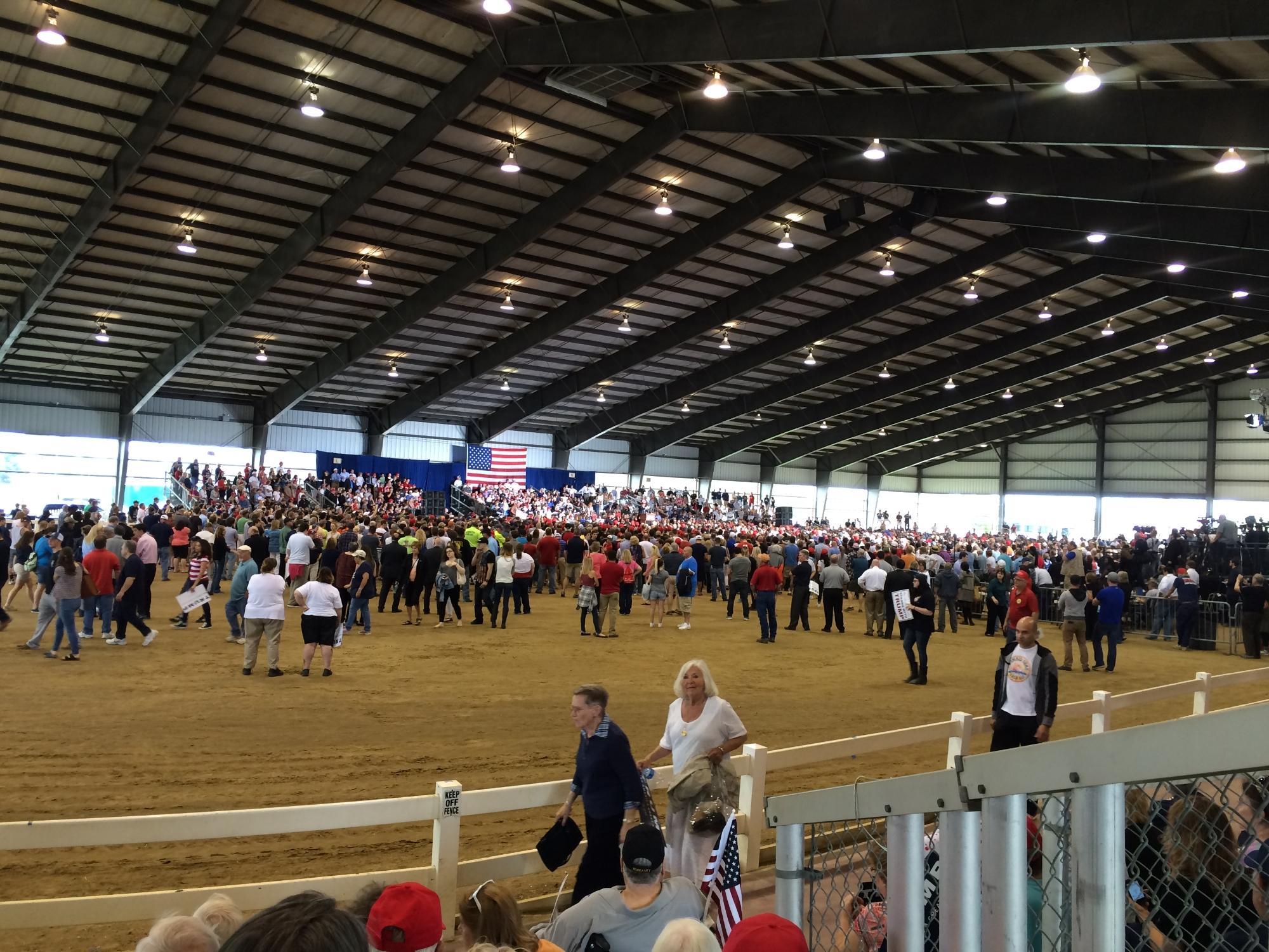 Photo by daisyferret1