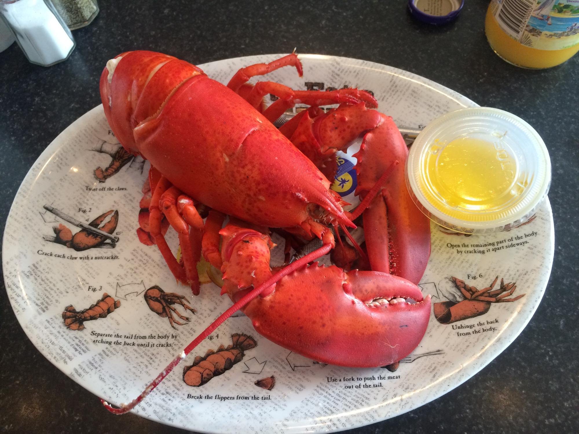 Photo by ankebrandts