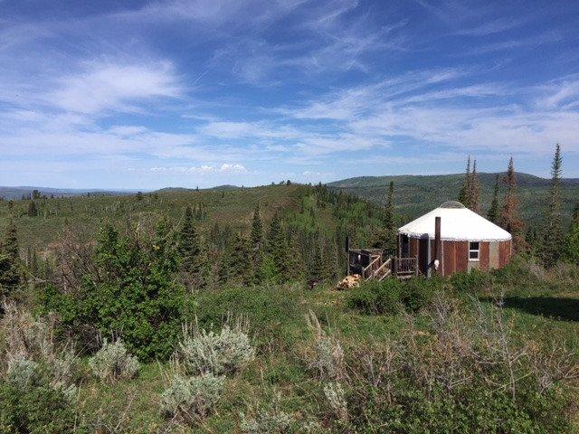 Photo by Stephanie J