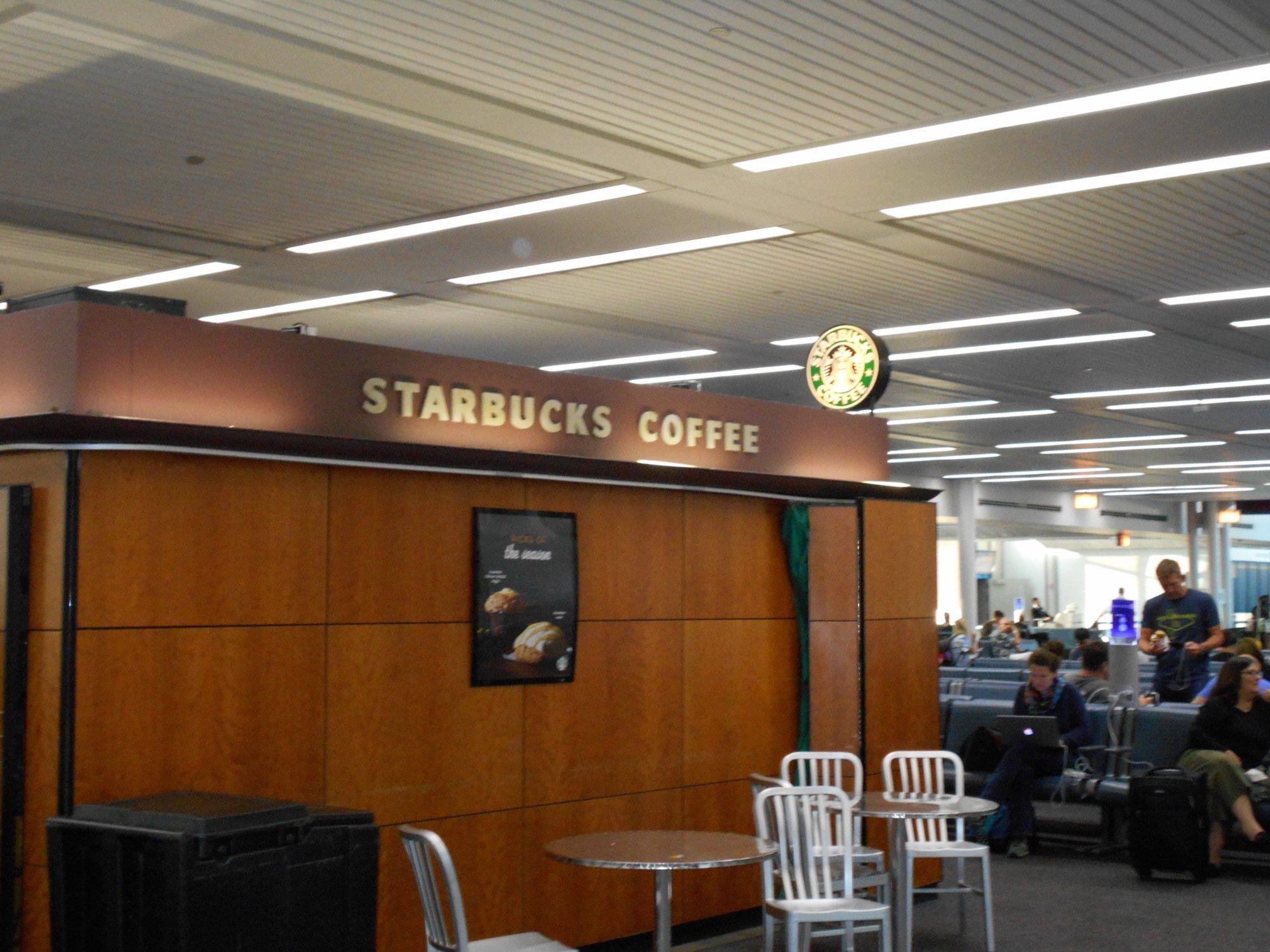 Photo by MINOMUSHI_seikatsu