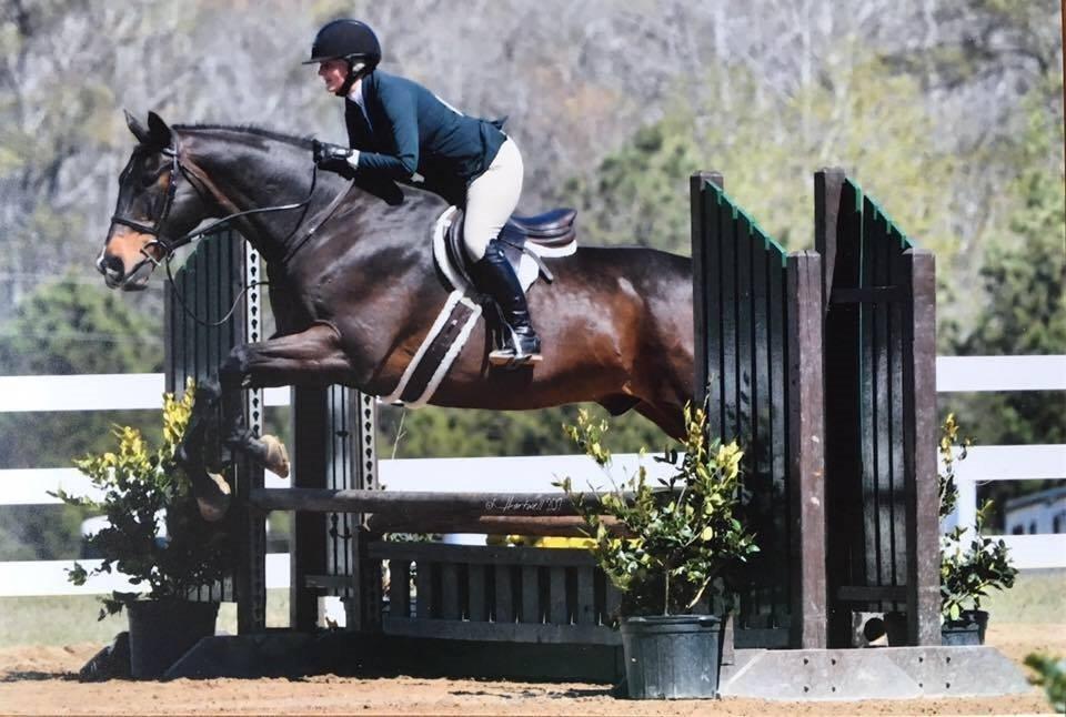 Georgia International Horse Park