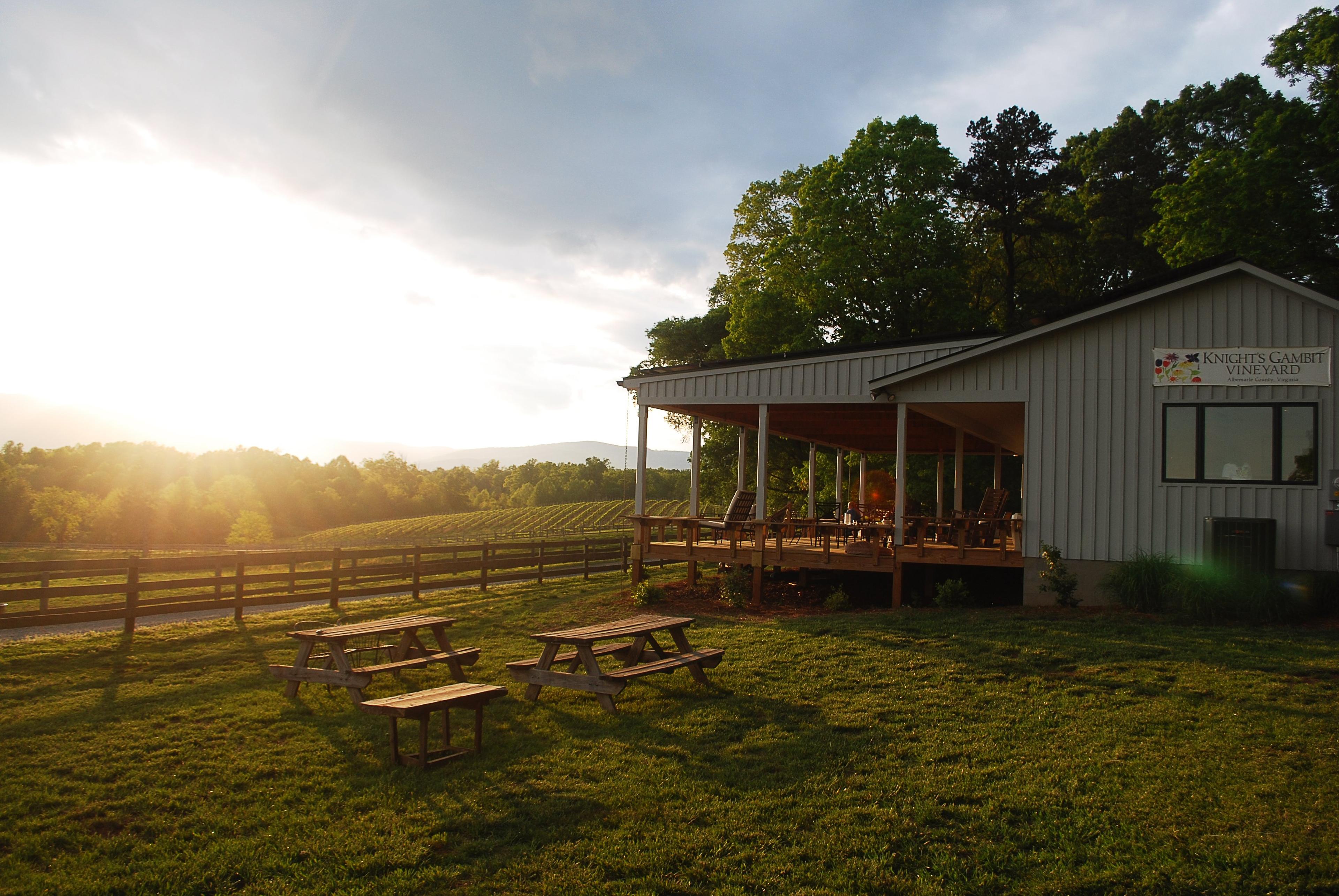 Knight's Gambit Vineyard