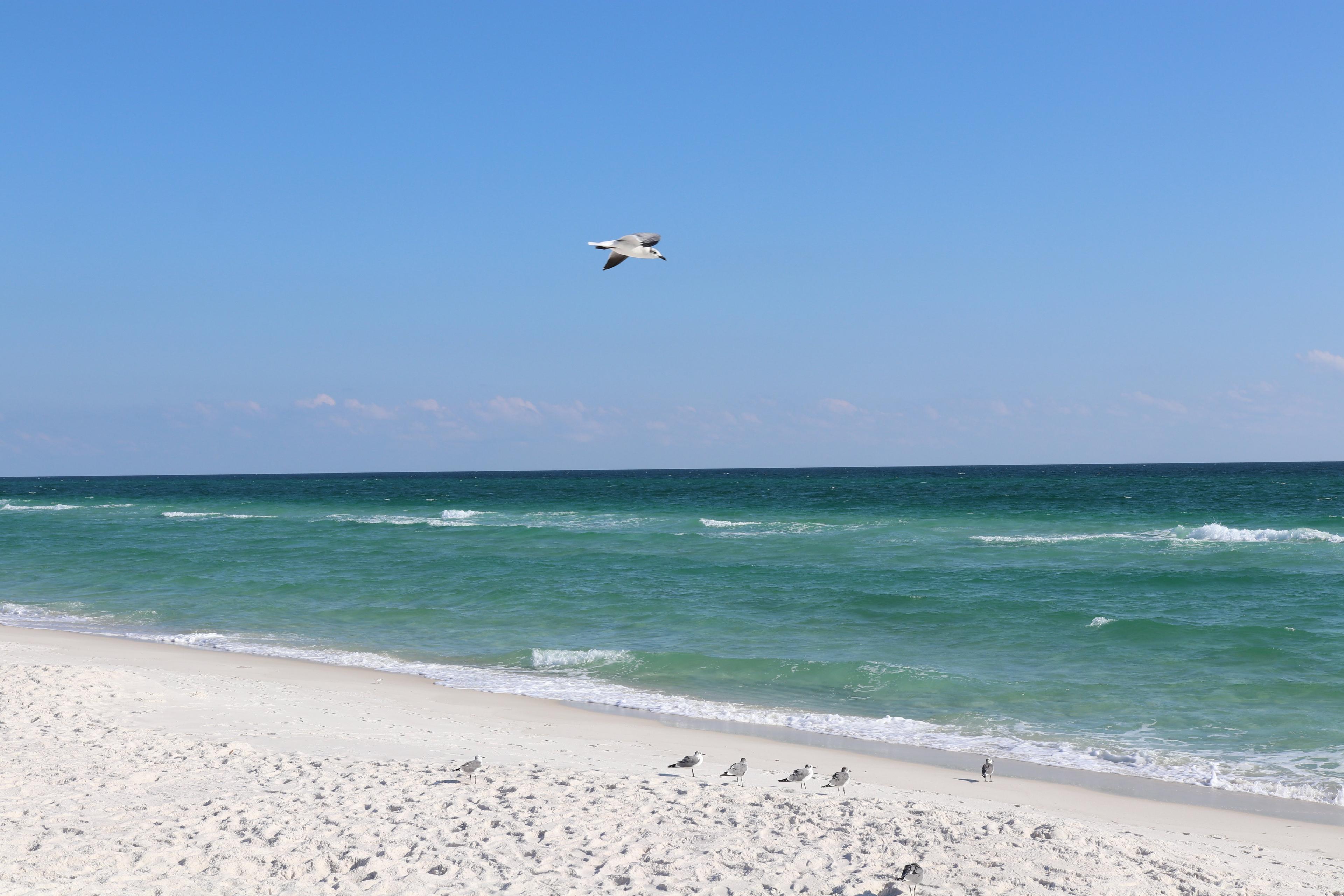 Perdido Key State Park