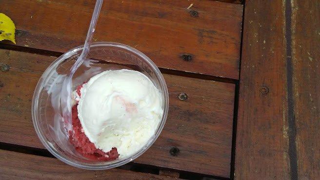 Mount Desert Island Ice Cream