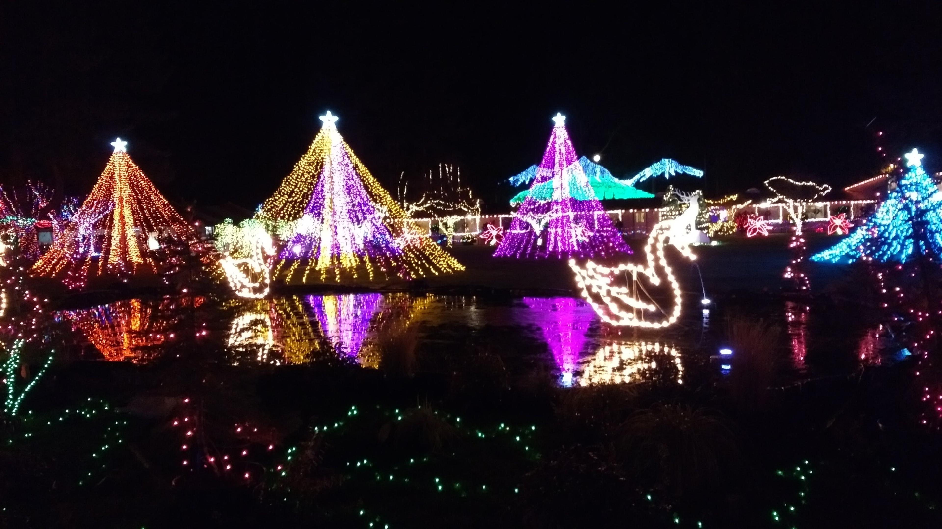 The Lights of Christmas