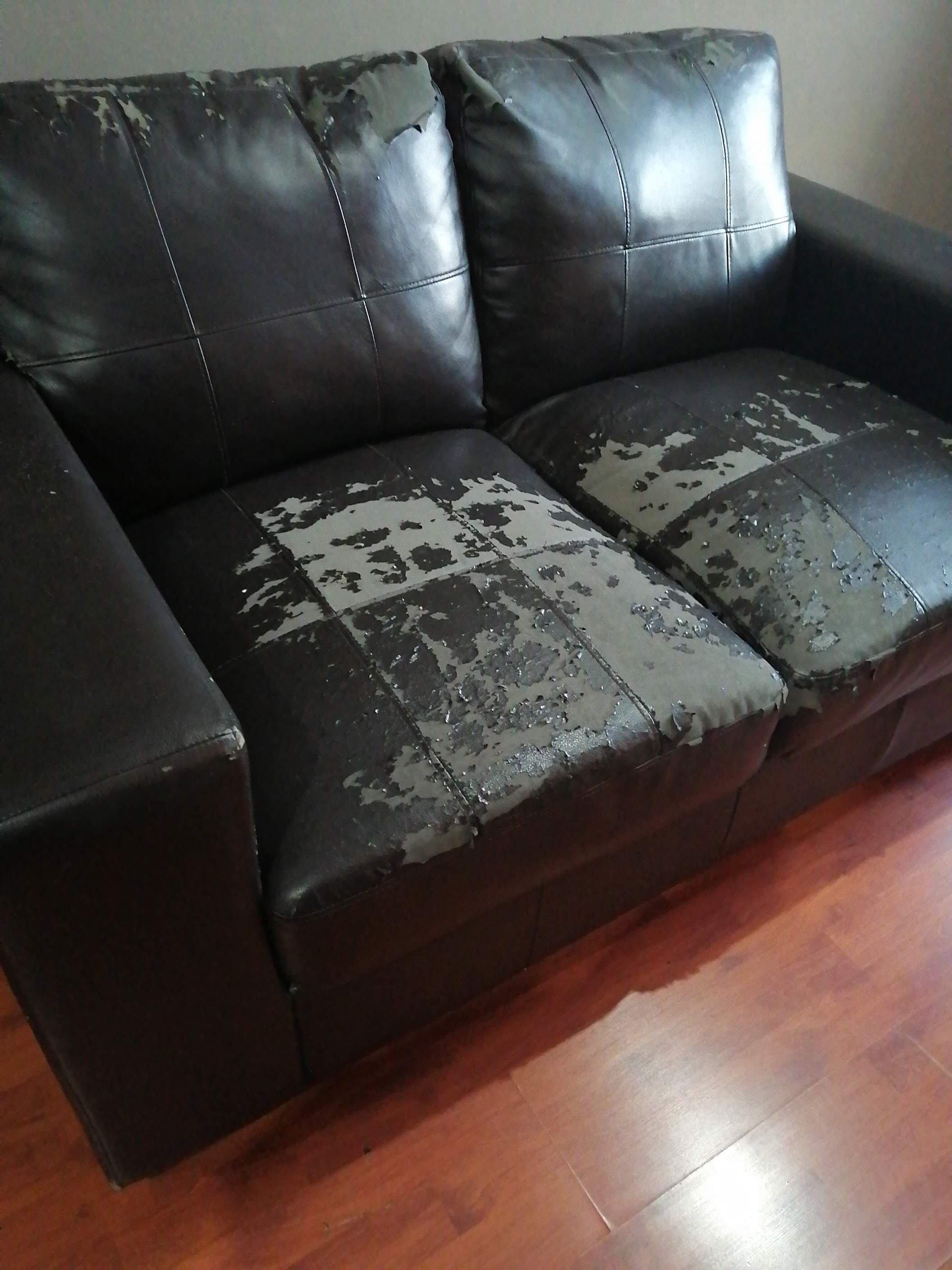 Flamboyant Guest Lodge