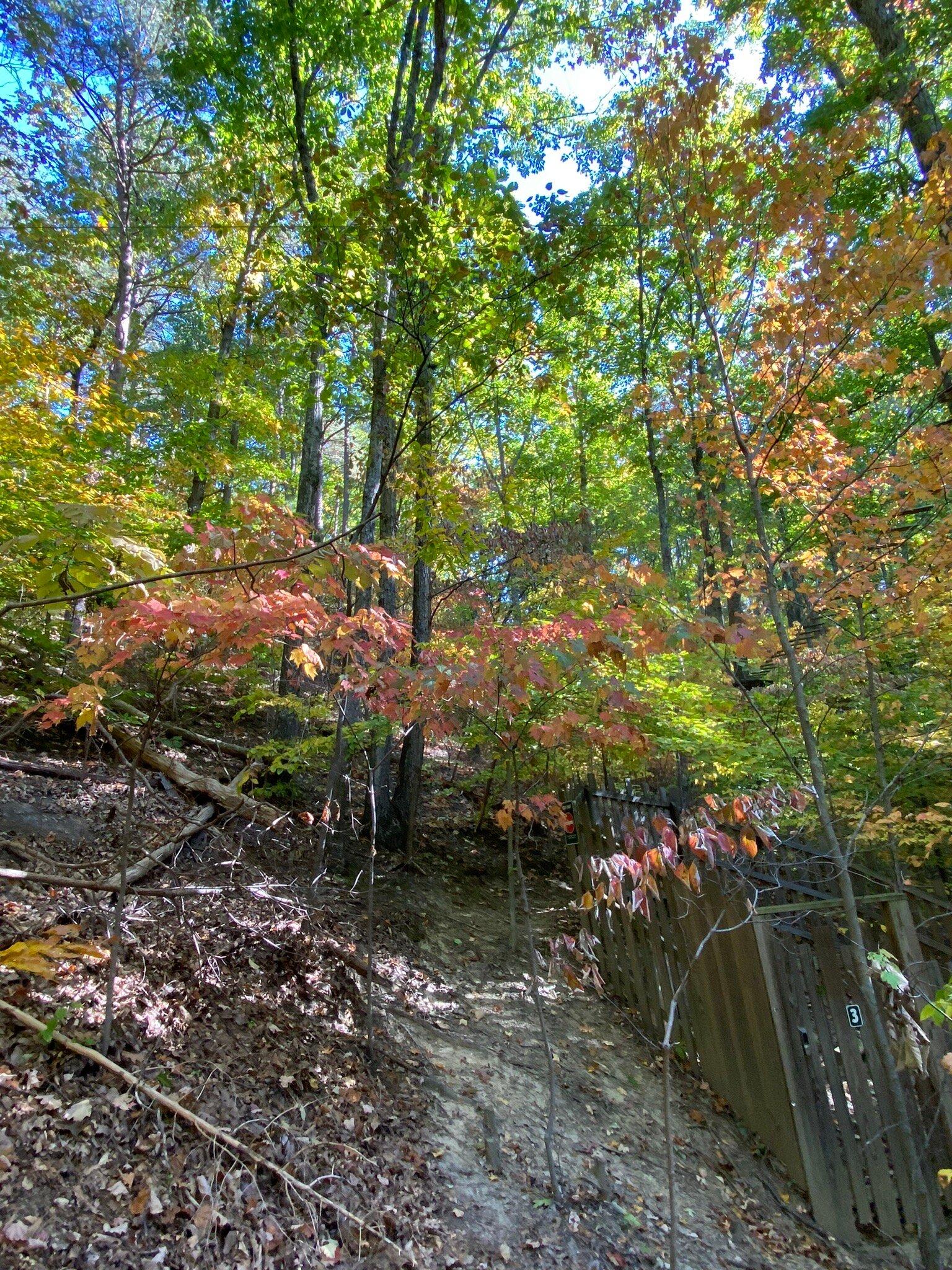 Best Places to Hike in Louisville, KY