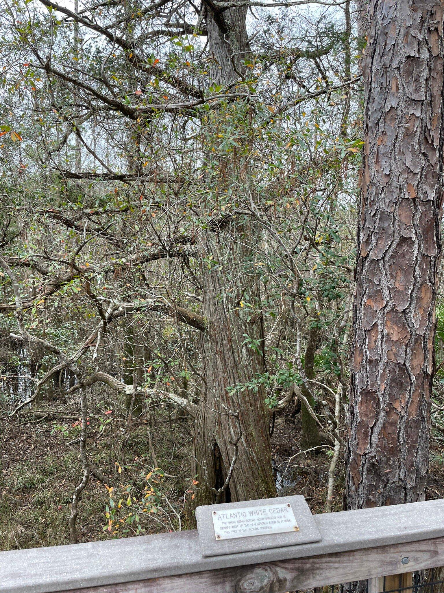 Photo by TrailTrekker15