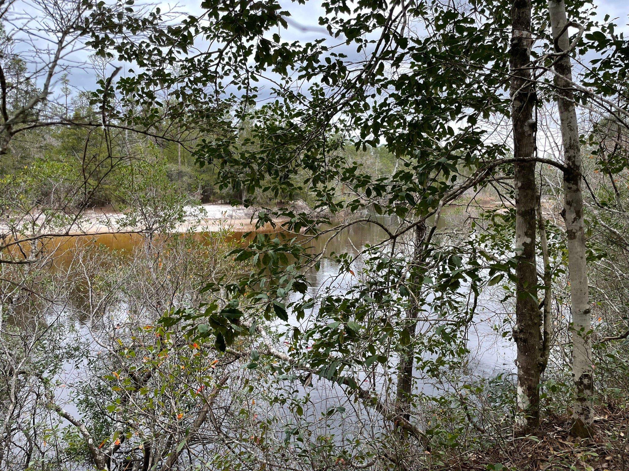 Photo by TrailTrekker15