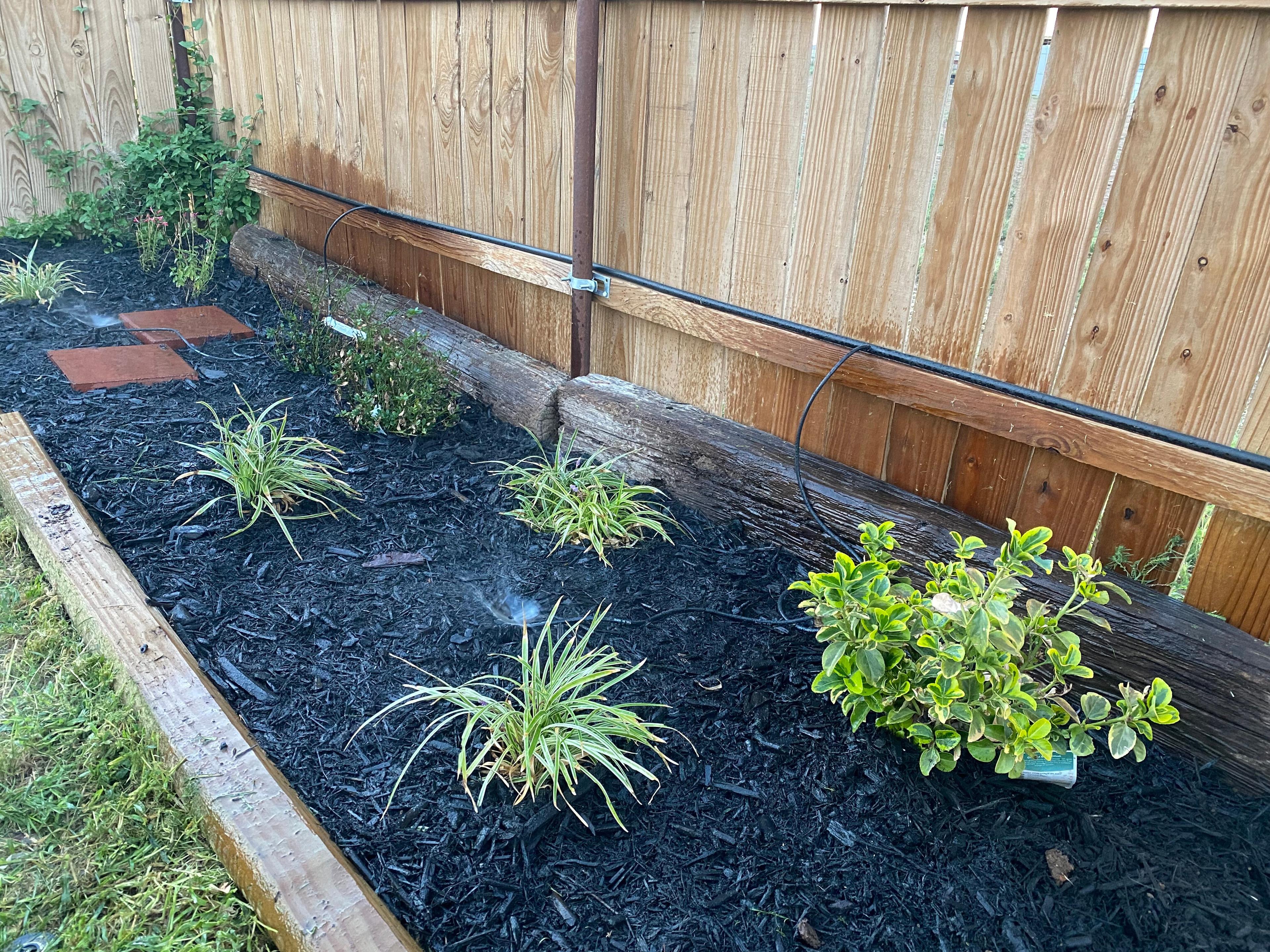 Photo by scenicv2023