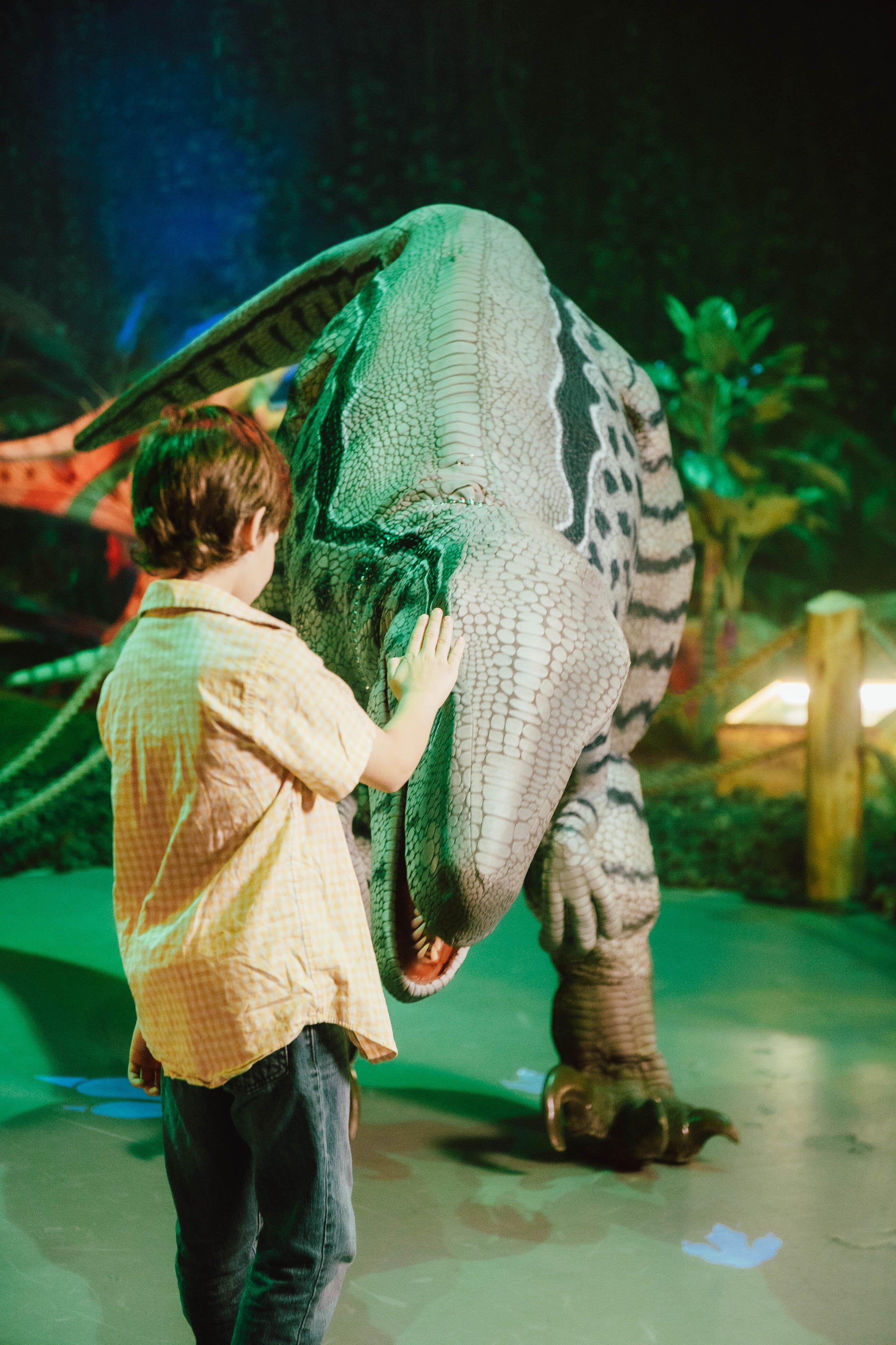 Photo by I5937NEpatricias