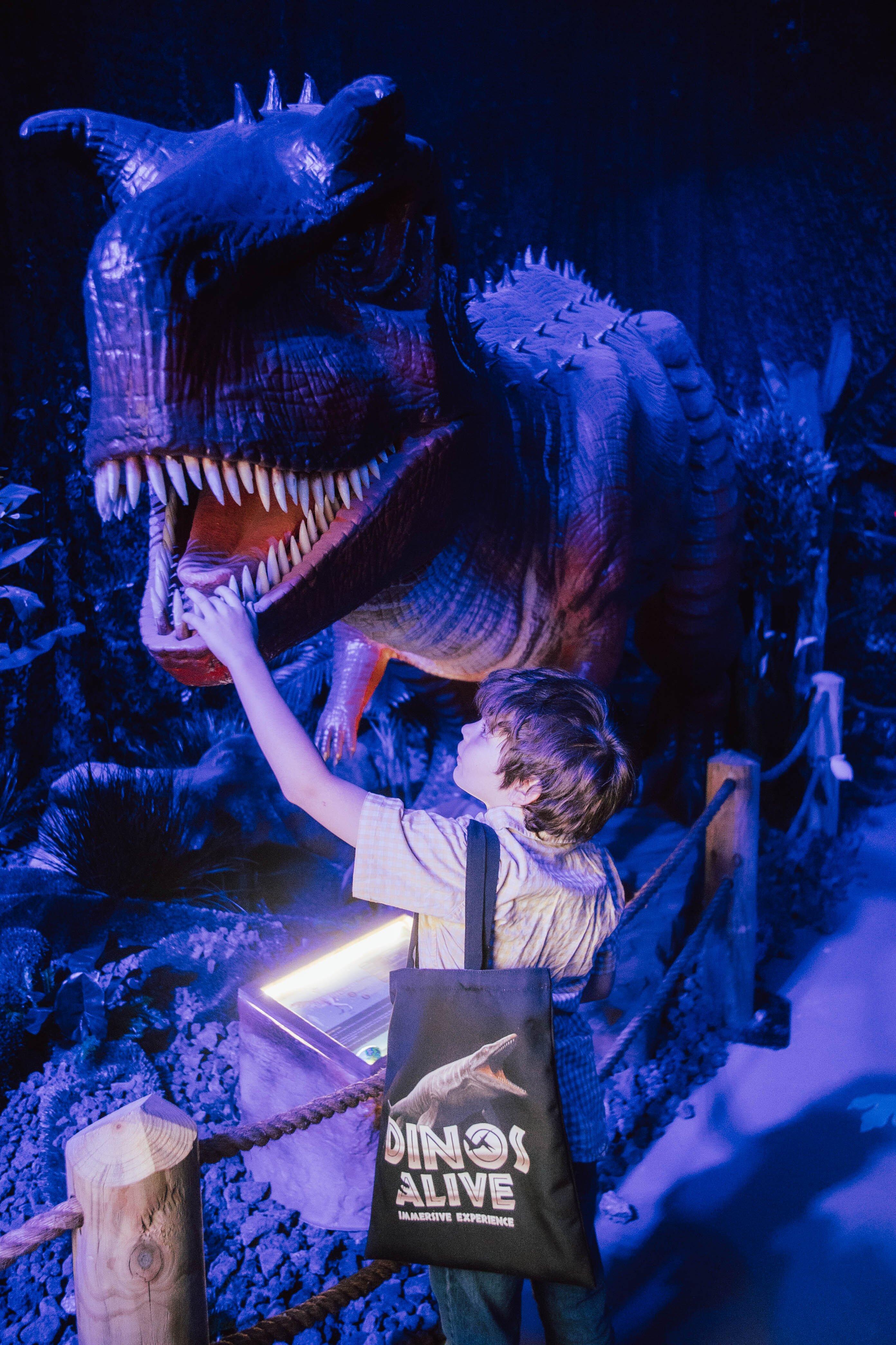 Photo by I5937NEpatricias