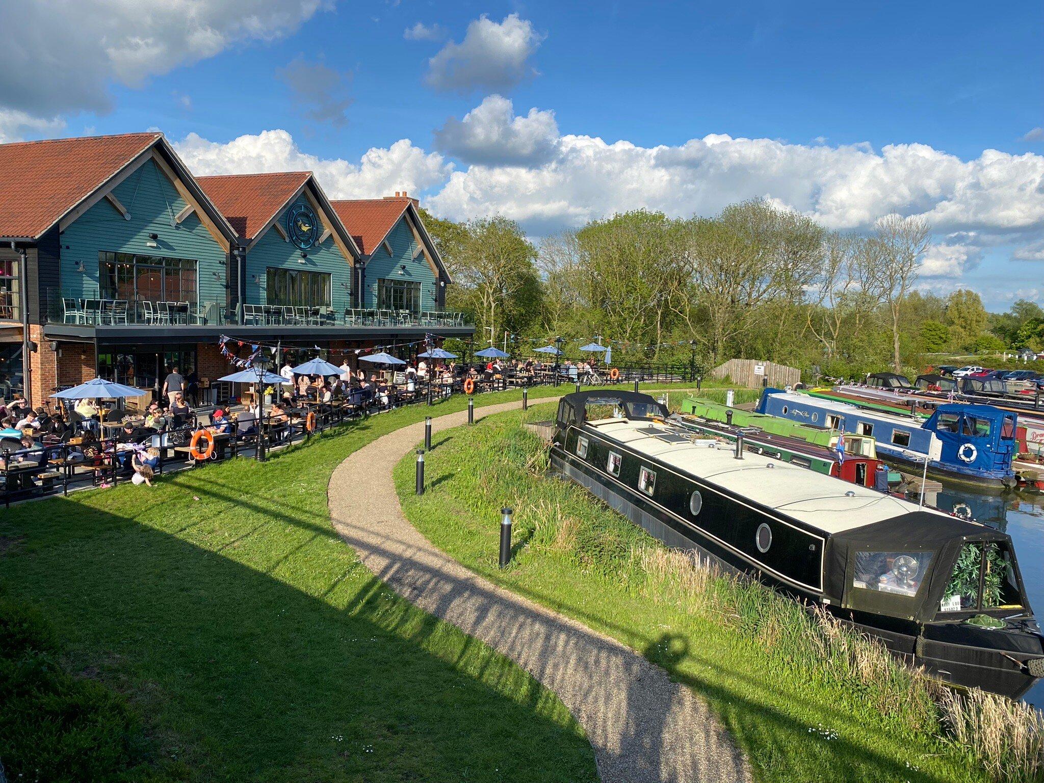 Warbler on the Wharf