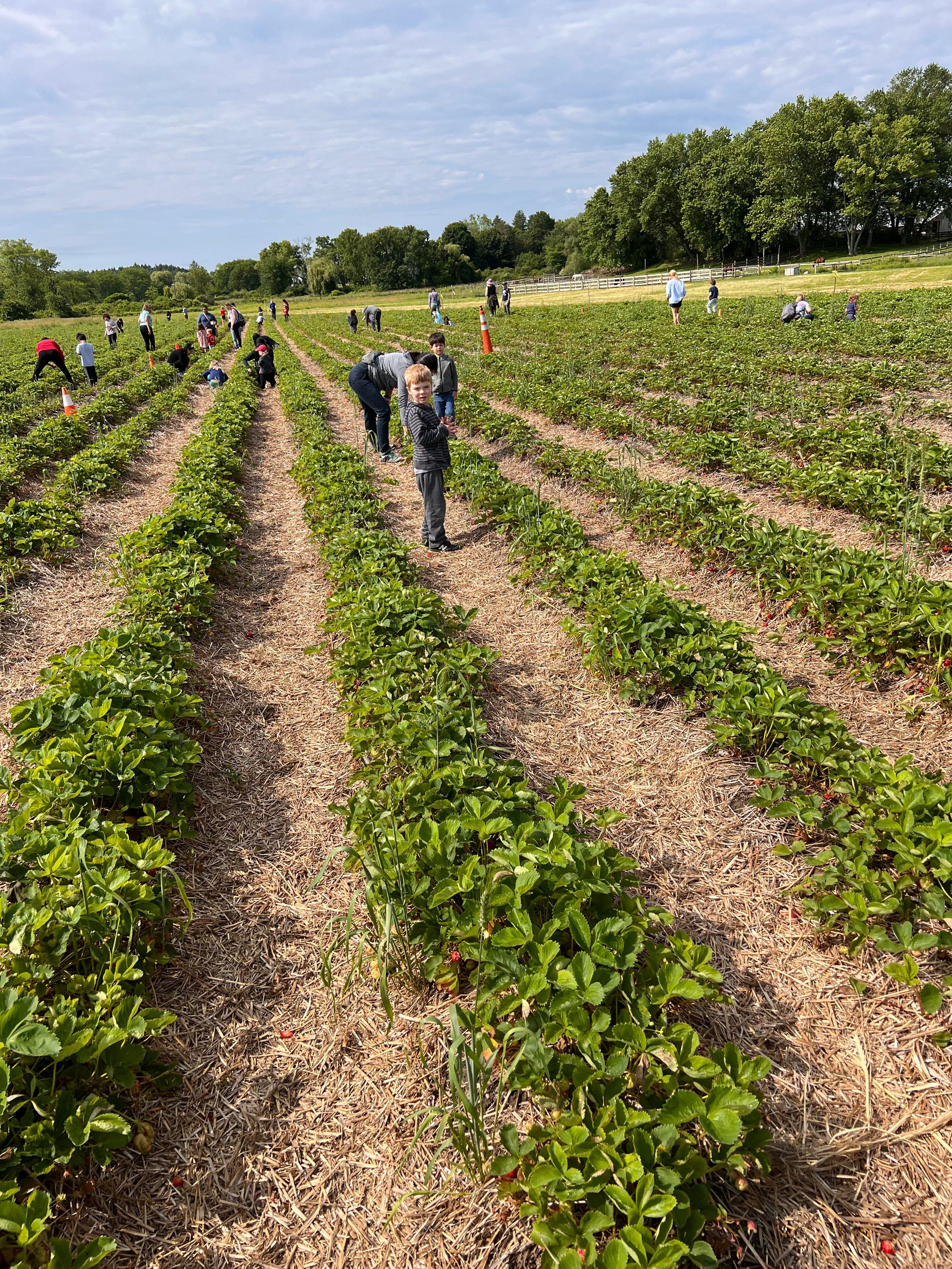 Photo by Bernadette B