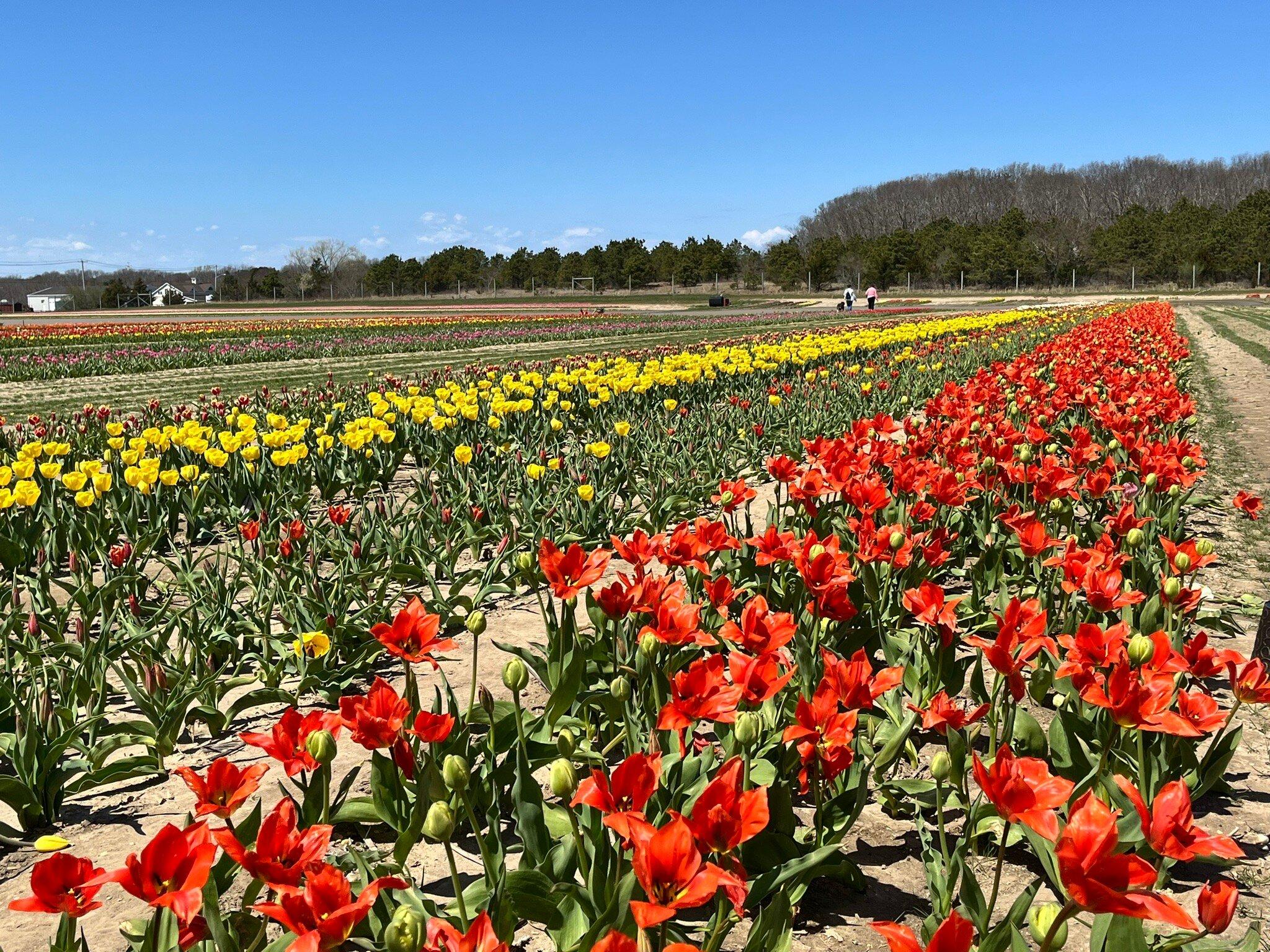 Waterdrinker Family Farm & Garden