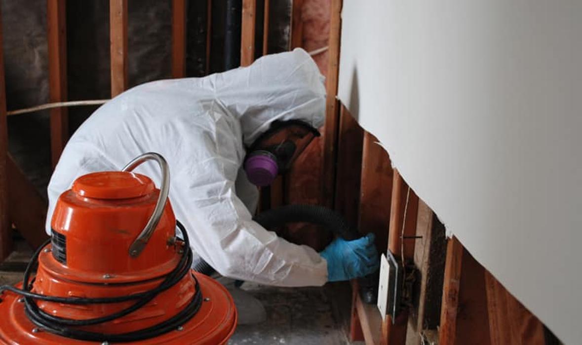 Woodlands Water Restoration