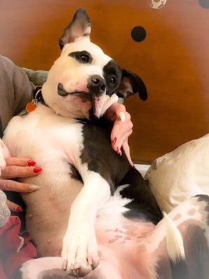 Lucy loves her new treats!