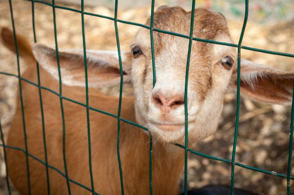Eden Farms Nursery & Garden Center