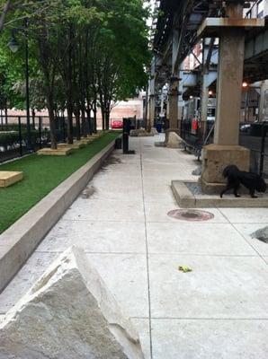 The dog run has been remodeled! It is SO much nicer now, with some astro-turf and trees... my dog loved his time there today!