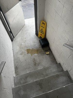Urine in the entrance