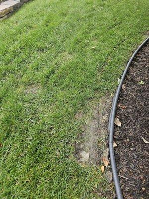 Doctor's Lawn & Landscape