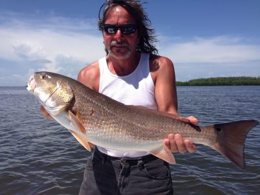 Redfish