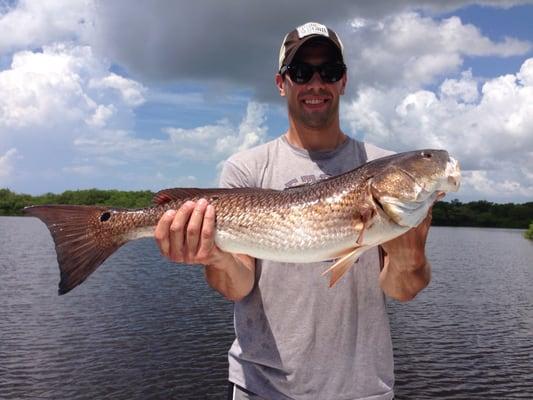 Redfish