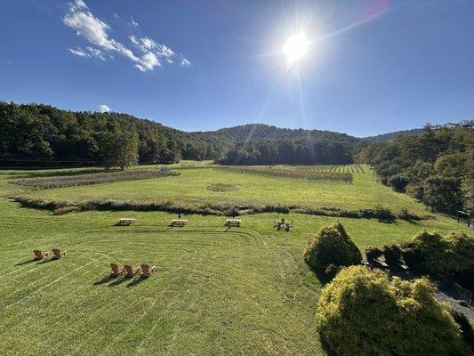 Loving Cup Vineyard & Winery