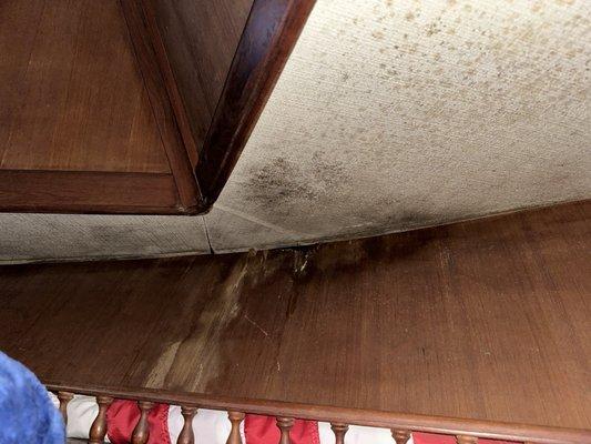 mold in sleeping areas