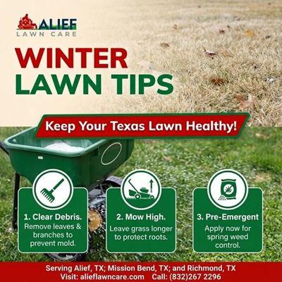 Winter lawn treatments and Winter cleanup