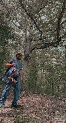 This tree between hole 13-14