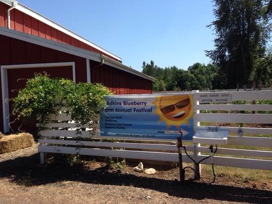 Adkins Blueberry Farm