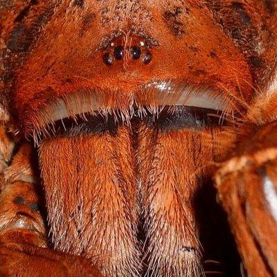 Mountain View Middle School