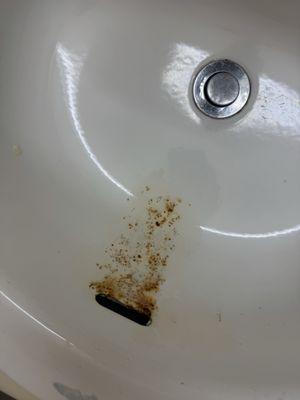 That is all the marks in my room, sheets bathroom and shower