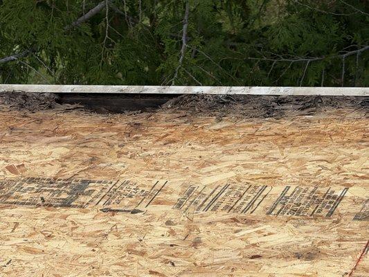 Pillar To Post Home Inspectors - Jeff Schroeder Team