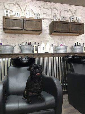 "Just a little off the top, please" -Charles