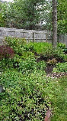 Blue Collar Lawn Service