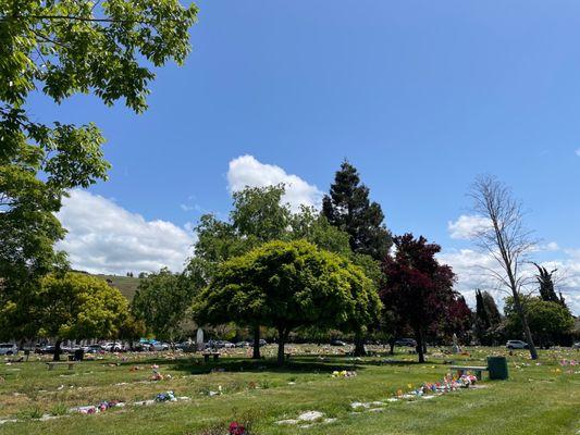Holy Sepulchre Cemetery and Funeral Center