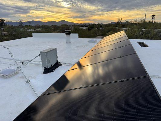 Technicians For Sustainability