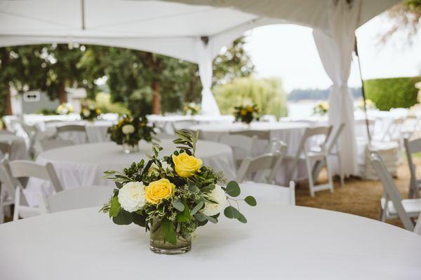 Olympia Party Planning and Rentals